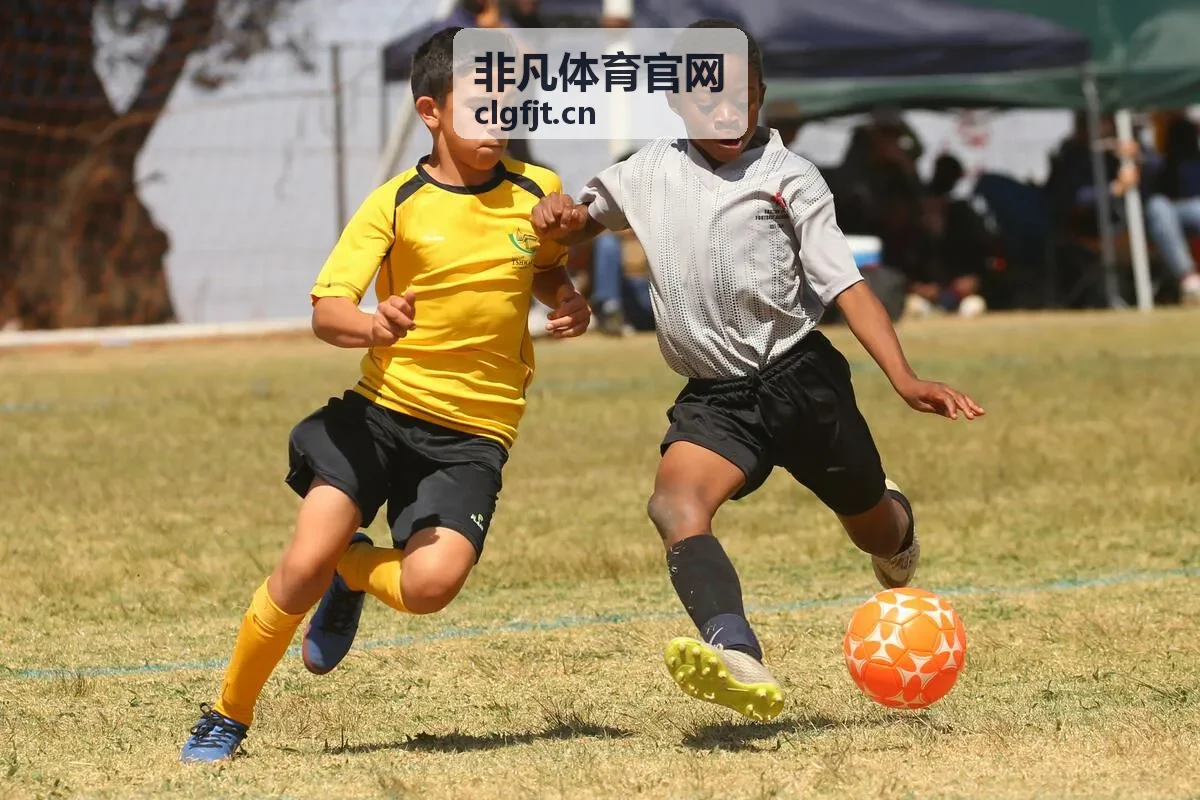 非凡体育赛事直播现场画面