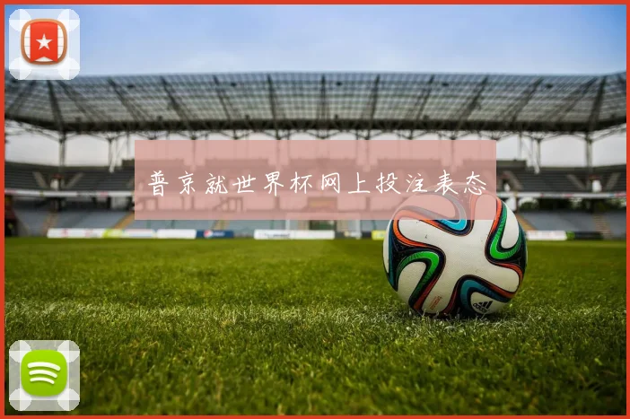普京就世界杯网上投注表态
