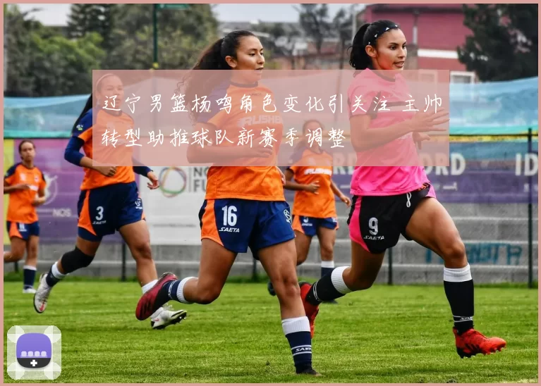 辽宁男篮杨鸣角色变化引关注 主帅转型助推球队新赛季调整